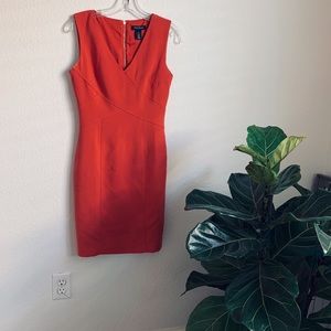 Beautiful burnt orange, tailored business dress.